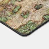 Sycamore arbre écorce mousse Lichen (Coin)