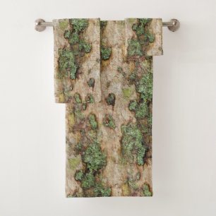 Sycamore arbre écorce mousse Lichen