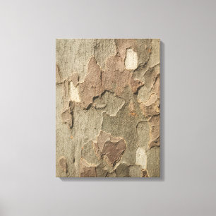Sycamore Bark Stretched Canvas Art Afdruk