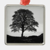 Sycamore Gap Ceramic Ornament (Voorkant)