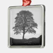 Sycamore Gap Ceramic Ornament (Links)