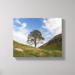 Sycamore Gap in het najaar Canvas Afdruk
