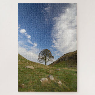 Sycamore Gap Legpuzzel