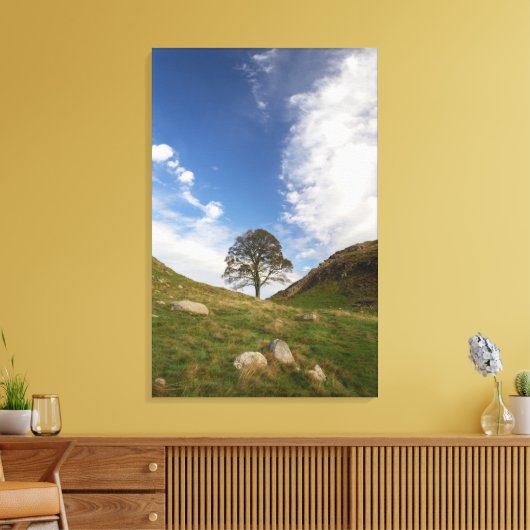Sycamore Gap Stretched Canvas Print (Insitu (Woonkamer))