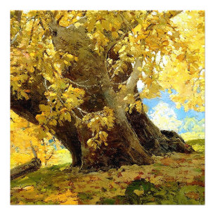 Sycamore in het najaar van Edgar Payne Foto Afdruk