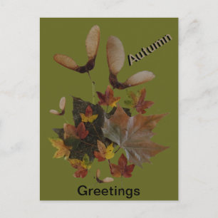Sycamore Maple Feuilles Collage AUTUMN Carte posta