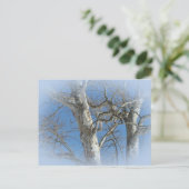 Sycamore-structuur tegen Winter Sky-items Briefkaart (Staand voorkant)