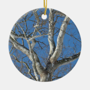 Sycamore-structuur tegen Winter Sky-items Keramisch Ornament