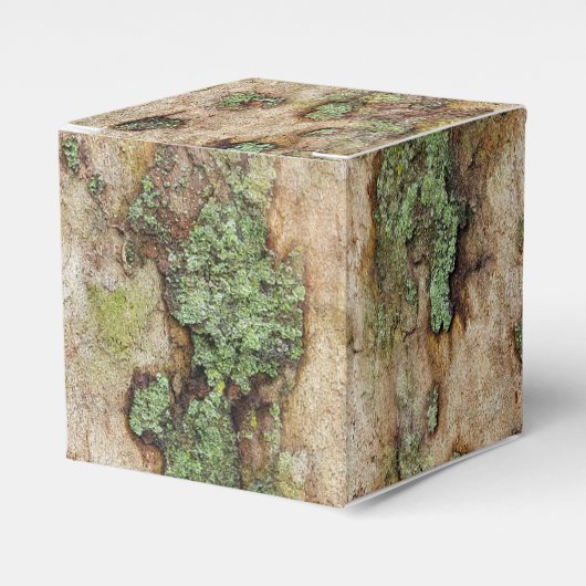 Sycamore Tree Bark Moss Lichen Bedankdoosjes (Voorkant Zijde)