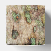 Sycamore Tree Bark Moss Lichen Bedankdoosjes (Bovenkant)