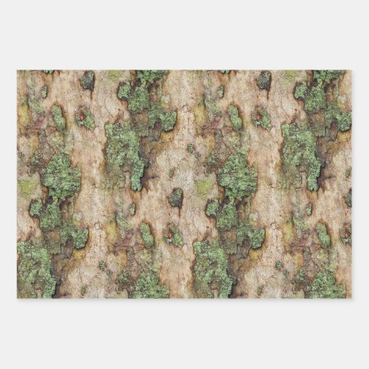 Sycamore Tree Bark Moss Lichen Inpakpapier Vel (Voorkant)