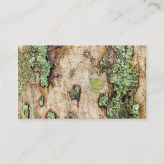 Sycamore Tree Bark Moss Lichen Visitekaartje