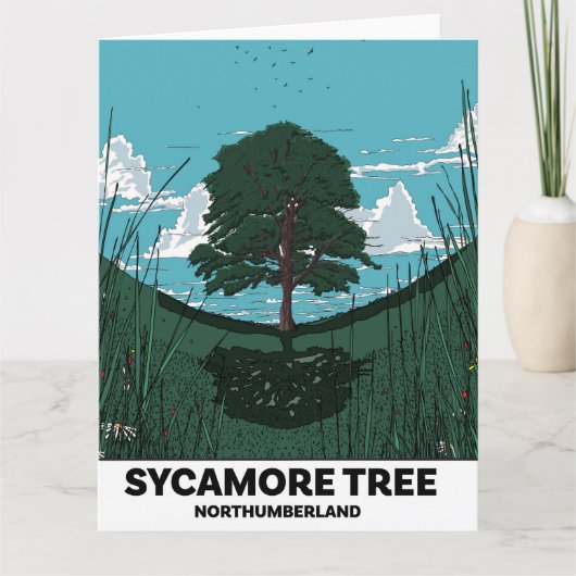 Sycamore Tree Gap Kaart (Voorkant)