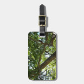 Sycamore Tree Green-Natuur Bagagelabel (Voorkant verticaal)