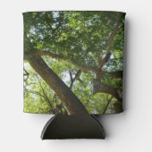 Sycamore Tree Green-Natuur Blikjeskoeler (Voorkant)