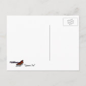 Sycamore Tree Green-Natuur Briefkaart (Achterkant)