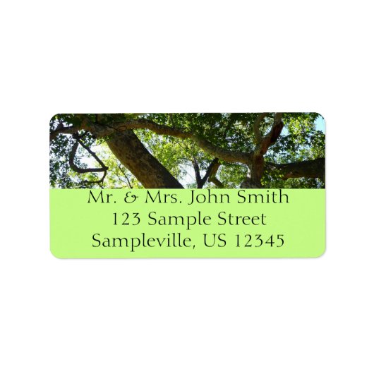 Sycamore Tree Green-Natuur Etiket (Voorkant)