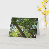 Sycamore Tree Green-Natuur Kaart (Gele Bloem)