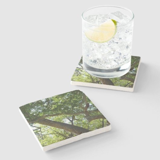 Sycamore Tree Green-Natuur Stenen Onderzetter (Zijkant)