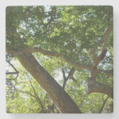 Sycamore Tree Green-Natuur Stenen Onderzetter (Voorkant)