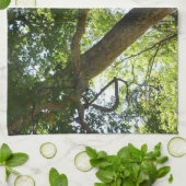 Sycamore Tree Green-Natuur Theedoek (Gevouwen)