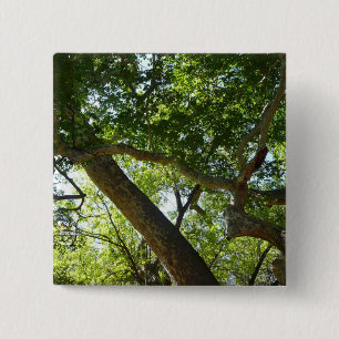Sycamore Tree Green-Natuur Vierkante Button 5,1 Cm