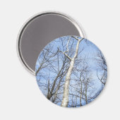 Sycamore Tree Magnet Magneet (Voorkant / Achterkant)