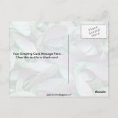 Sycamore-zaden Briefkaart (Achterkant)