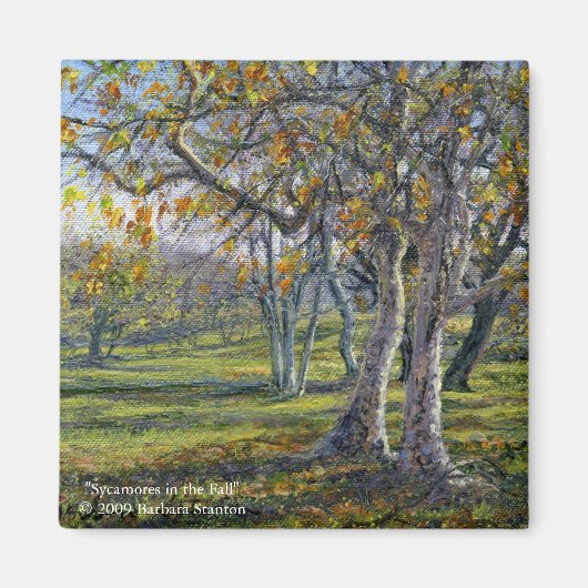 Sycamores in de Herfst Magneet (Voorkant)