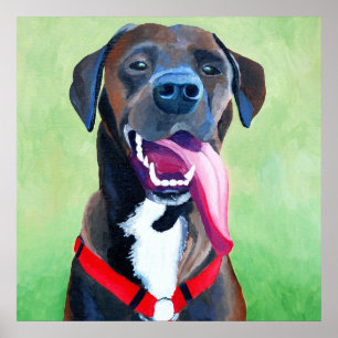 Sydney Dog Art — Grote afdrukken Poster