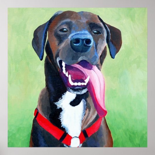 Sydney Dog Art — Grote afdrukken Poster (Voorkant)