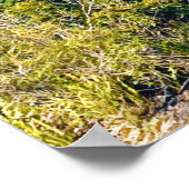 Sydney Georges Head Mosman Australië Poster (Hoek)