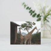 Sydney Opera House Briefkaart (Staand voorkant)