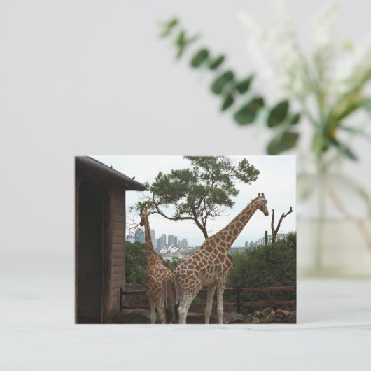 Sydney Opera House Briefkaart (Staand voorkant)