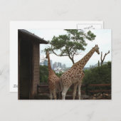 Sydney Opera House Briefkaart (Voorkant / Achterkant)