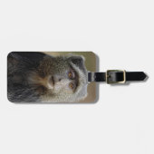 Sykes- of blauwaap, Cercopithecus mitis, Bagagelabel (Voorkant horizontaal)