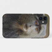 Sykes- of blauwaap, Cercopithecus mitis, Case-Mate iPhone Case (Achterkant (horizontaal))