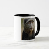 Sykes- of blauwaap, Cercopithecus mitis, Mok (Voorkant rechts)