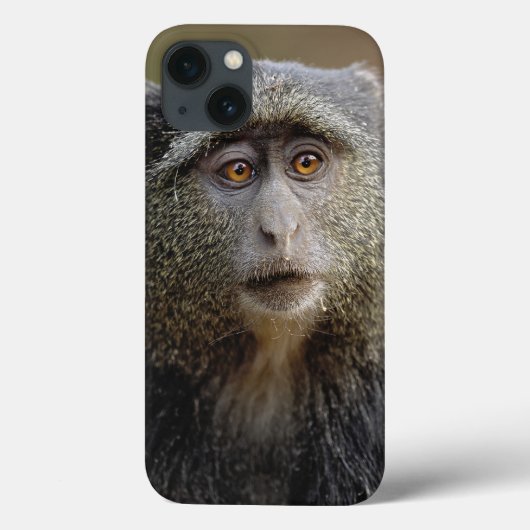 Sykes of Blauwe Meerkat, Cercopithecus mitis, Case-Mate iPhone Case (Achterkant)