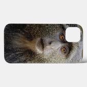 Sykes of Blauwe Meerkat, Cercopithecus mitis, Case-Mate iPhone Case (Achterkant (horizontaal))