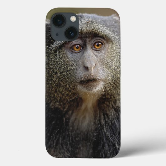 Sykes of Blauwe Meerkat, Cercopithecus mitis, Case-Mate iPhone Case (Achterkant)