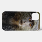 Sykes of Blauwe Meerkat, Cercopithecus mitis, Case-Mate iPhone Case (Achterkant (horizontaal))