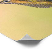 Sylph Hummingbird met Long Tail Print (Hoek)