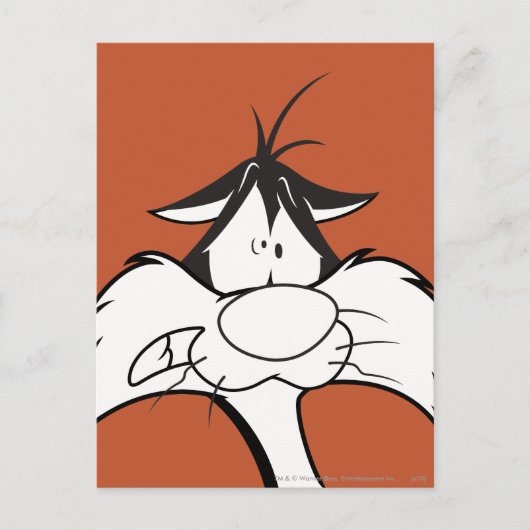 SYLVESTER™ Face Briefkaart (Voorkant)