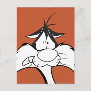 SYLVESTER™ Face Briefkaart