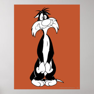 SYLVESTER™ Gekke Poster