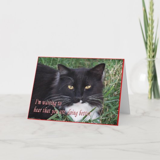 Sylvester-Get Well-customize Kaart (Voorkant)
