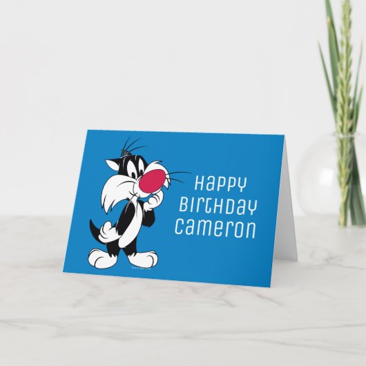 Sylvester Jr.| Klassieke koers Kaart (Voorkant)