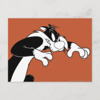 SYLVESTER™ Prowling