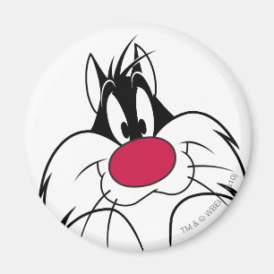 SYLVESTER™ Red Nose Face Magneet